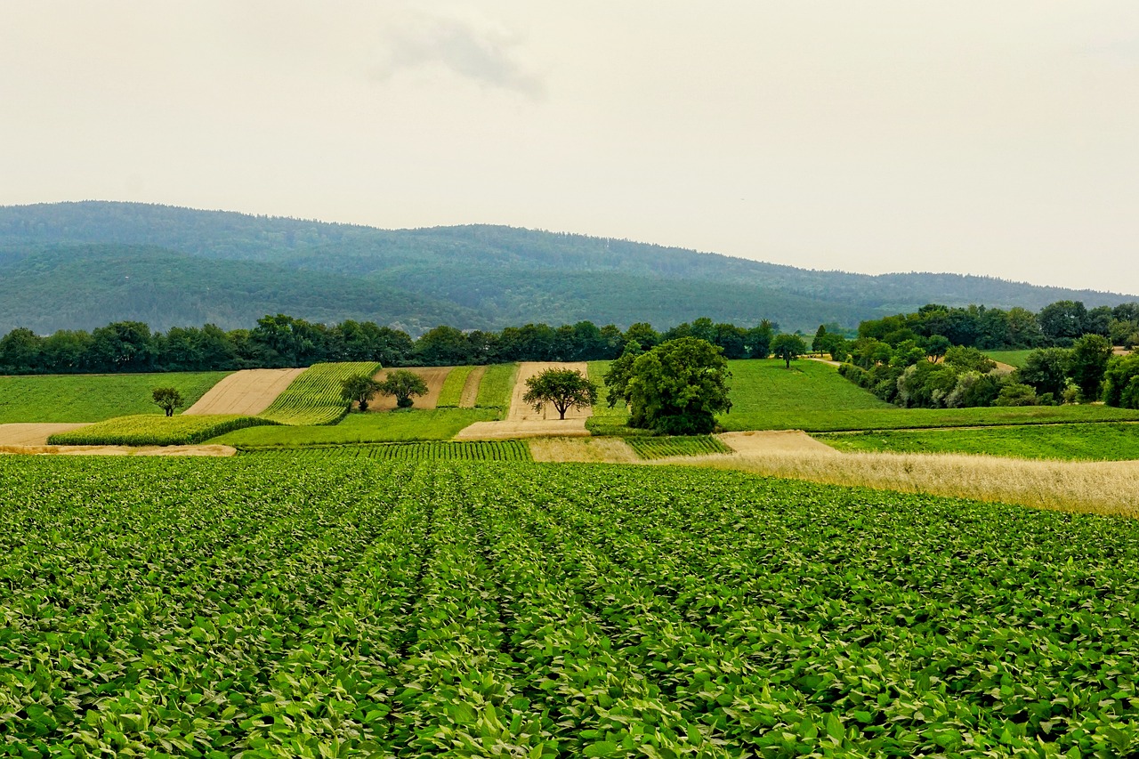 Agriculture