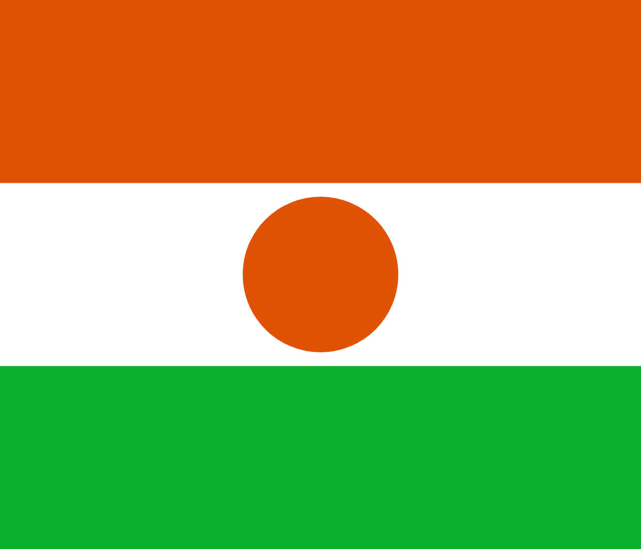 Niger Flag
